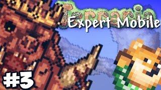 МОЙ ЛИЧНЫЙ БЕС - #3 - EXPERT ПРИЗЫВАТЕЛЬ // TERRARIA 1.2.4 - ANDROID/IOS