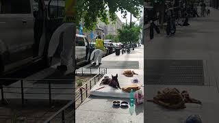 Majority Leader Steve Scalise - 1:24-CV-03547 Evidence Steve Scalise hired murder for hire video 13