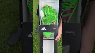 ADIDAS ASMR PREDATOR PRO  #shorts