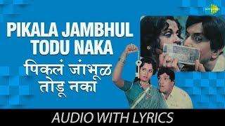 Pikala Jambhul Todu Naka with lyrics | पिकलं जांभूळ तोडू नका | Usha | Bot Lavin Tithe Gudgulya