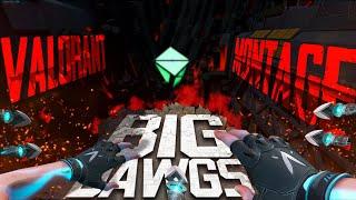 BIG DAWGS(VALORANT MONTAGE)