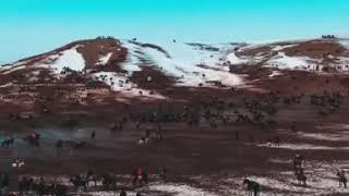 #Buzkashi #Kokpar #Kokboru #Horse #sport