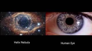 The universe within us - Optical InVision -