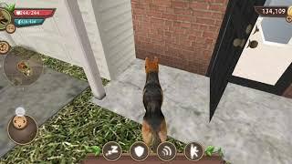 [страшный баг в Dog sim]