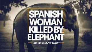 "Spanish Woman Killed by Elephant in Thailand | Elephant Tourism Risks & Sanctuary Tragedy"