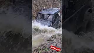 Лесная суета! #skrdlife #offroad #бездорожье