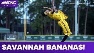 Savannah Bananas coming to Kannapolis in 2023