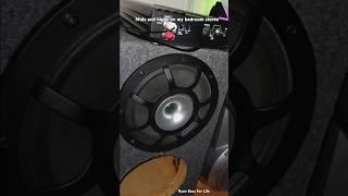 I put my 8" Sundown loudspeaker in my bedroom subwoofer box