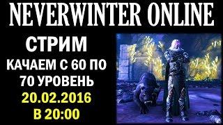 NEVERWINTER ONLINE - Где и как прокачаться  с 60 по 70 уровень