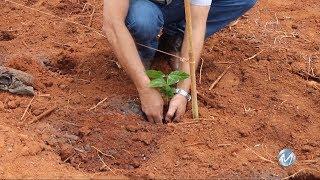 PAPO DE CAFEICULTOR | Adubação para plantio de  café