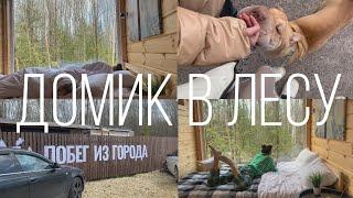 уехали загород с подругой