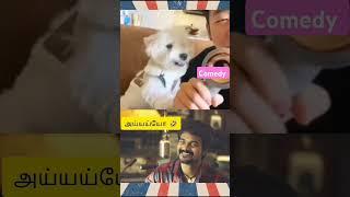 aiyoo // comedy video