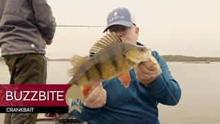 BuzzBite Crankbait - Westin-Fishing