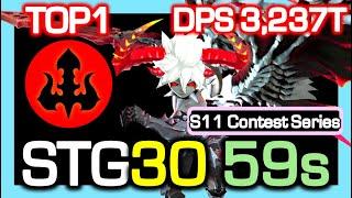 DarkLordSTG30 59s Rotation / DPS 3,237 Trillion / To Max ADJ Damage, Wait = Fast / Dragon Nest China