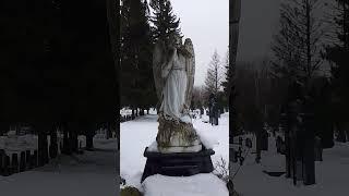 МИСТИЧЕСКОЕ И ЗАГАДОЧНОЕ ЗАХОРОНЕНИЕ РОКОВОЙ ЖЕНЩИНЫ В КОНЦЕ 20 ВЕКА НА КЛАДБИЩЕ КРАЙНЕГО СЕВЕРА ШОК