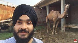 Exploring Virasat Haveli |Caught by the Police| |Part 2| |TJ Vlogs| #vlog16