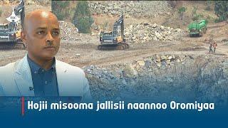 Hojii misooma jallisii naannoo Oromiyaa etv |Ebc  |Etv Afaan Oromoo| oduu Etv Afaan Oromoo |Ethiopia