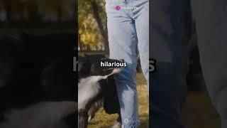 Pawsome Moments for Dog Lovers!