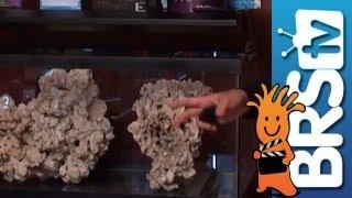 How to set up a saltwater aquarium - Episode 1: Reef tanks made fun and easy