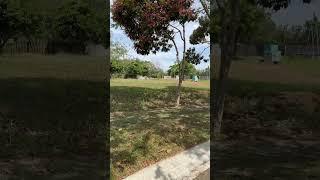 Santierra NUVALI, Lot for Sale (644 sqm), Call # 0945 257 6827