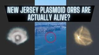 End Times Signs? Plasmoid Orbs Seen In Skies EVERYWHERE! | DR Update