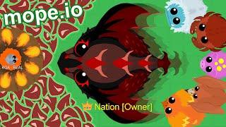 I bought mope.io lol