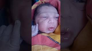 my choto mama