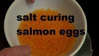 SALT CURE SALMON EGGS RECIPE