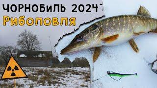 ЧОРНОБИЛЬ - 2024. Риболовля, закинуті села, НЕЛЕГАЛЬНИЙ СТАЛК!