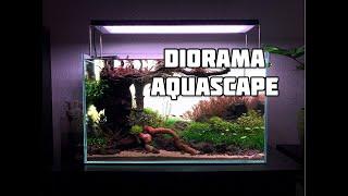 Diorama Style Aquascape  - 60p Aquarium Step by Step