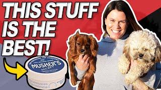 Best Dog Paw Care For Winter | Musher's Secret Review