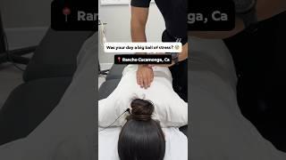 Having a stressful day? Try getting your whole spine cracked! Part 1 #chiropractic  