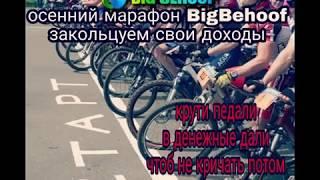 #BigBehoof#закольцовка#