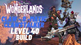 Tiny Tina's Wonderlands | Best chaos 50 Melee Build (Ascended) | (Stabomancer + Clawbringer Build)