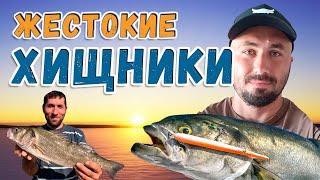 Зубастые монстры откусывают приманки ! | Морская рыбалка с берега в Греции.