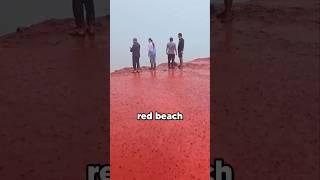 Why Did This Sea Turn RED?! 