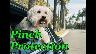 Volkswagen Window Safety Best Feature