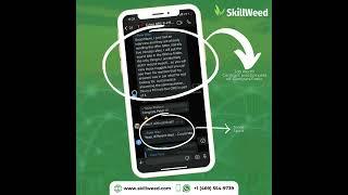 The Future of the Skillweed Whatsapp Community || Skillweed