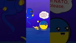 Opportunity for Ukraine to join Nato  #countryballs  #usa #russia #ukraine #nato