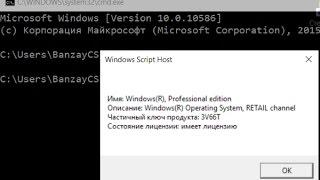Как узнать тип лицензии Windows