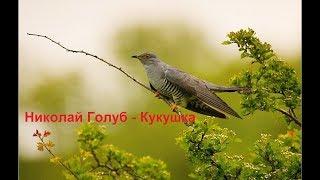 Николай Голуб -  Кукушка