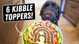 Human Foods Dogs SHOULD Eat  6 Best Kibble Toppers