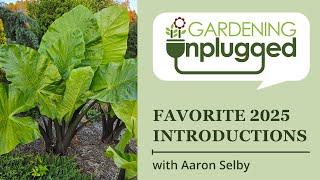 Gardening Unplugged - Plant Delights Introductions with Aaron Selby