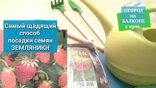 #КЛУБНИКА Посадка семян Самый щадящий способ #ОГОРОД на БАЛКОНЕ с нуля