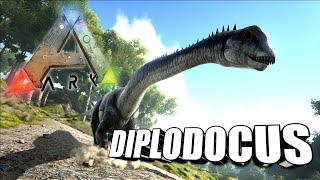 Taming A Diplodocus | Ark Survival Evolved | The Island