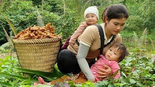 Looking Back To The Days When The Single Girl Harvested Everything To Sell To Raise Her Two Children