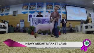 Bailey Ruen  |  Fillmore County  |  Heavyweight