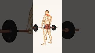 How To Do This Barbell Shrug Workout