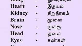 HUMAN BODY PARTS IN TAMIL