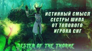 Сестра Шипа - Лучшая механика игры. Sister of the Thorne. Warhammer Vermintide 2